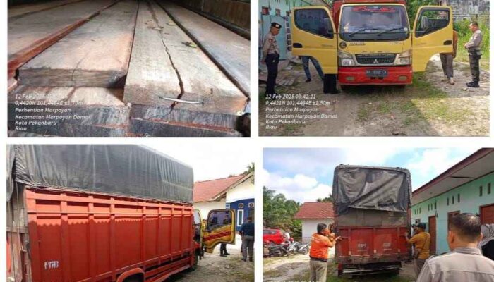 Alamak!!! Diduga Ilegal Logging, Tiga Truk Kayu Bebas Melintas Tanpa Penindakan