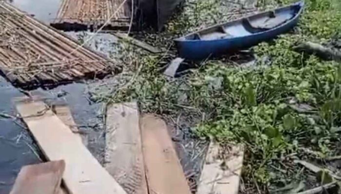 Oknum Wartawan Saling Memberitakan dengan Narasi yang Tidak Berimbang, Akibat Ilegal logging yang Merajalela