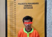 Polisi Bekuk Pencuri Lempengan Tembaga Tugu Zapin di Pekanbaru