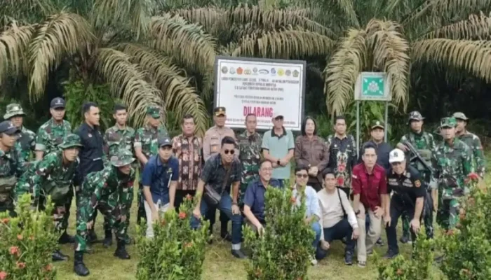 Ribuan Hektare Kebun Sawit PT Agro Bukit Disita Satgas PKH, Diduga Langgar Aturan Kawasan Hutan