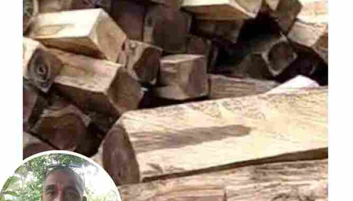 LAKMAS NTT Desak Penetapan Tersangka Oknum Polisi dalam Kasus Ilegal Logging Sonokeling