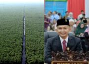 DPRD Pelalawan Desak PT Mitra Hutani Jaya Patuhi Kesepakatan Bayar Fee Akasia Masyarakat