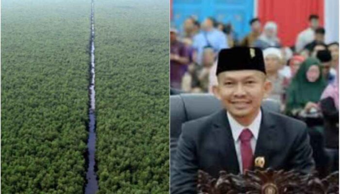 DPRD Pelalawan Desak PT Mitra Hutani Jaya Patuhi Kesepakatan Bayar Fee Akasia Masyarakat