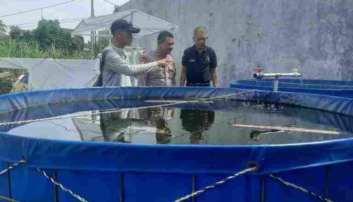 Bhabinkamtibmas Desa Kedung Kendo Tinjau Sarana dan Prasarana Budidaya Ikan Lele dalam Program P2B  