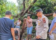 Polsek Marbau Evakuasi Korban Tertimpa Pohon Durian, Dua Pemancing Meninggal Dunia