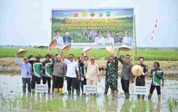 Tinjau Pabrik Kilang Padi di Rokan Baru, Wabup Rohil Dorong Revitalisasi dan Penguatan Sektor Pertanian