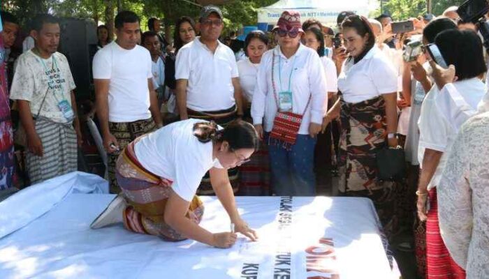 139 Kasus dalam Triwulan Awal 2025: NTT Darurat Tindakan Kekerasan Perempuan dan Anak