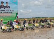 Tanam Padi Serentak, Bupati Zukri Ungkap Potensi Luar Biasa Kuala Kampar untuk Ketahanan Pangan