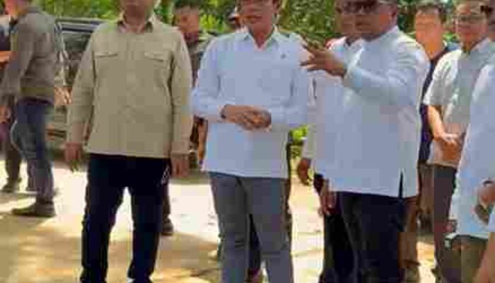 Izin Pabrik Tisu RAPP Belum Keluar, Menteri LH Tegaskan Sanksi ke RAPP