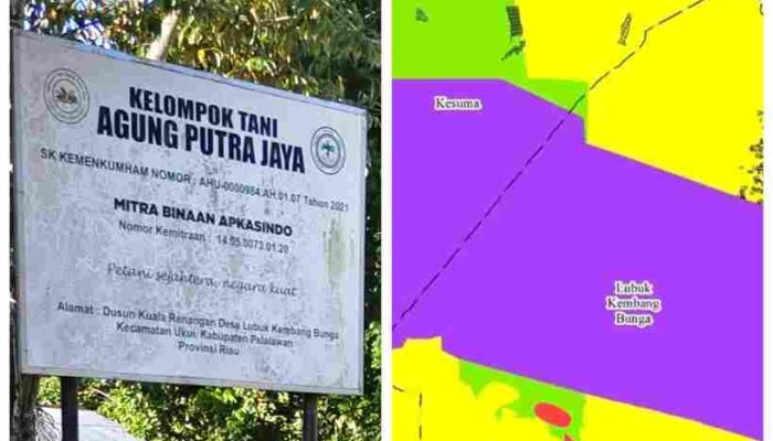 Dugaan Penjualan Ilegal Hutan Produksi Terbatas di Pelalawan, Ketua AJPLH Siap Tempuh Jalur Hukum