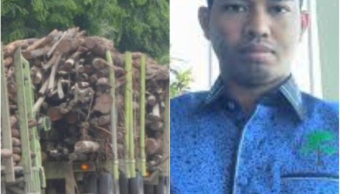 Greenwashing PT RAPP, Olah Kayu Ilegal dari Skema Sosial dan Merusak Lingkungan