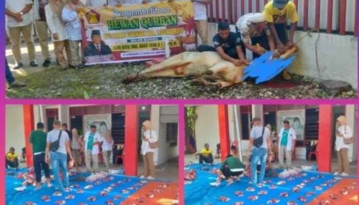 Lebaran Idul Adha 1446 H, DPC Partai Gerindra Labuhanbatu Sembelih 2 Sapi Qurban dan 1 Kambing