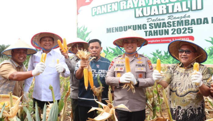 Wujud Sinergi: Pelalawan Panen Raya Jagung, Kapolres Apresiasi Peran PT Musim Mas dalam Ketahanan Pangan