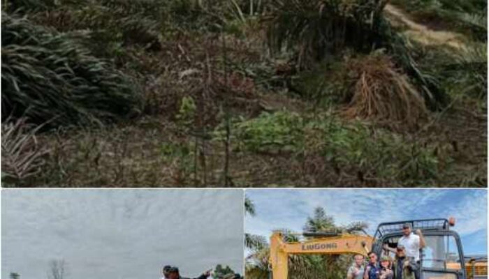 Wadansat PKH Ultimatum Pemilik Lahan TNTN, Nagara Tak Akan Mundur Kembalikan Fungsi Hutan