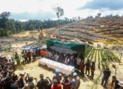 Polda Riau Ungkap Perambahan Hutan Lindung di Kampar, 4 Orang Ditangkap
