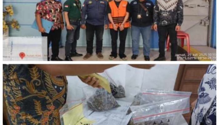 Gakkum KLHK Wilayah Sumatera Serahkan Tersangka dan Barang Bukti Perdagangan Sisik Trenggiling ke Kejari Pematangsiantar