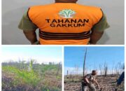 Gakkum KLHK Tangkap Pelaku Kebun Sawit Ilegal di Tahura SSH Siak Riau
