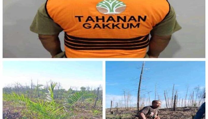 Gakkum KLHK Tangkap Pelaku Kebun Sawit Ilegal di Tahura SSH Siak Riau