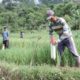 GEMAPATAS Akan Dicanangkan Serentak di 23 Kabupaten/Kota, Kepala Biro Humas dan Protokol: Dipimpin Langsung oleh Menteri Nusron 