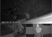 Warga Teluk Meranti Resah, Pencuri Walet Berkeliaran Hingga Terekam Kamera