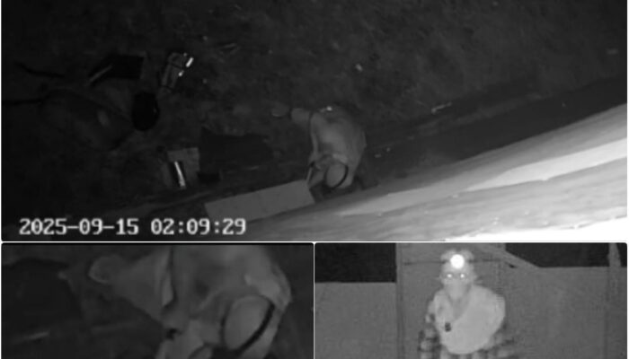 Warga Teluk Meranti Resah, Pencuri Walet Berkeliaran Hingga Terekam Kamera