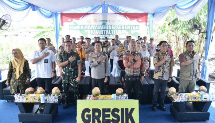 Polres Gresik Panen Jagung 5 Ton, Wujud Nyata Dukung Swasembada Pangan 2025
