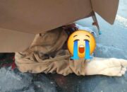 Jadi Korban Tabrak Lari Seorang Pengendara Tewas Terlindas Truk