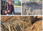 PP 22/2021 Berlaku! Syarat Kedap Air Kolam Limbah Industri Diperketat, Pelaku Usaha Wajib Taat Aturan