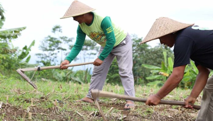 Konflik Belasan Tahun Berakhir, Sertipikat Redistribusi Tanah Buka Jalan Pemulihan Ekonomi Desa Soso