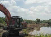 PT KES Bangun Komitmen Dalam Investasi, Pencemaran Lingkungan di Bantaran Sungai Lanjung Siak Tidak Ada