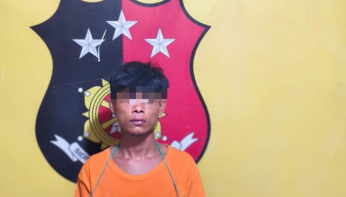 Jual Sabu di Kebun Sawit, Anto Diciduk Polisi Panai Hilir 