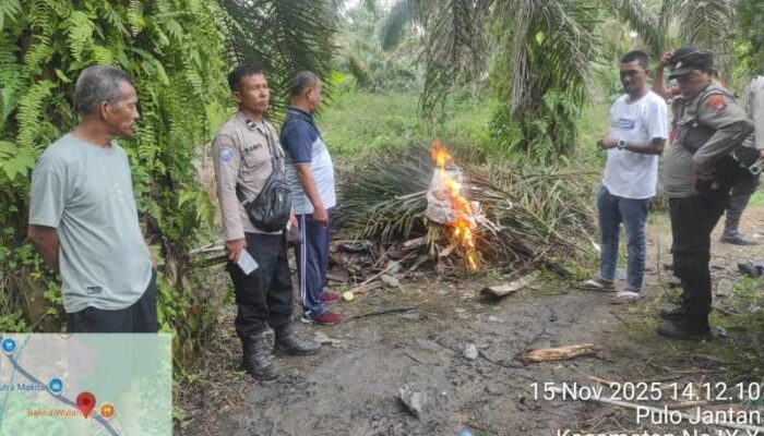 Respon Laporan Warga, Polsek NA IX-X Gerebek Sarang Narkoba