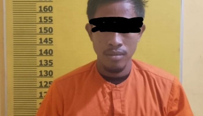 Polres Pelalawan Tangani Kasus Persetubuhan Anak di Bawah Umur di Desa Terbangiang