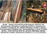 Warga Koto Lamo Minta Aparat Bertindak, Hutan Lindung Dibabat Tanpa Kendali