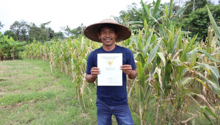 Reforma Agraria Lahirkan Regenerasi dan Kreativitas Petani Muda di Desa Soso