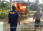 Kapolsek Bilah Hulu Turun Lapangan Pimpin Penggerebekan Sarang Narkoba