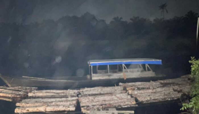 Polres Bengkalis Sikat Praktik Illegal Logging di Sungai Nibung, Tiga Pelaku Diringkus