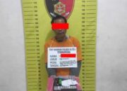 Polsek Na IX-X Ungkap Kasus Narkotika di Aek Kota Batu, Satu Pelaku Diamankan