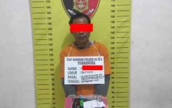 Polsek Na IX-X Ungkap Kasus Narkotika di Aek Kota Batu, Satu Pelaku Diamankan