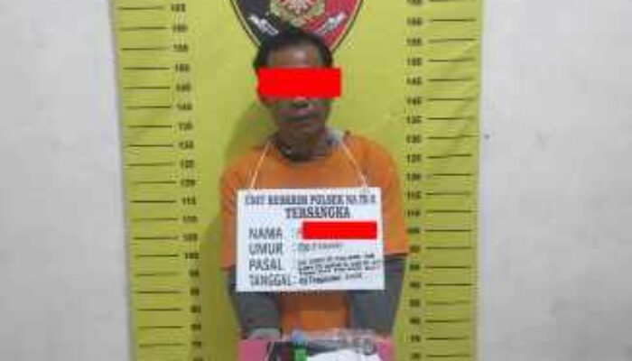 Polsek Na IX-X Ungkap Kasus Narkotika di Aek Kota Batu, Satu Pelaku Diamankan