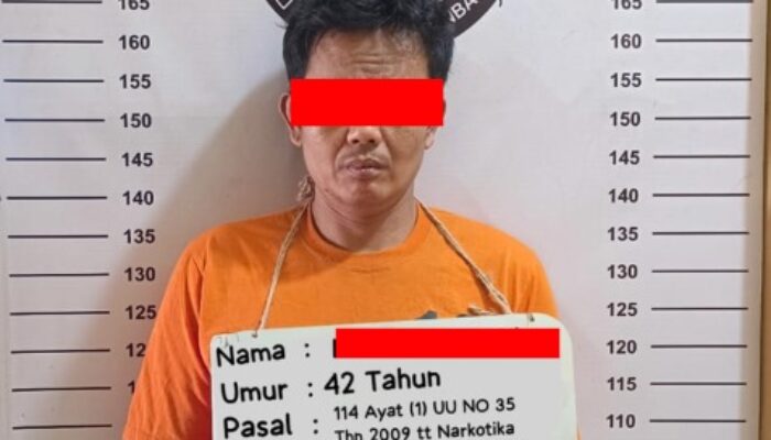 Komitmen Berantas Narkoba, Polres Labuhanbatu Amankan MT Beserta 1,72 Gram Sabu di Padang Matinggi