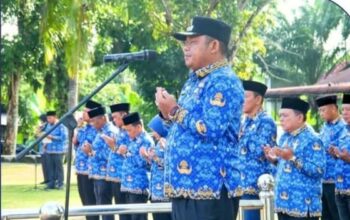 Wakil Bupati Labuhanbatu Pimpin Upacara HKN, Tegaskan Komitmen Cegah Stunting Menuju Indonesia Emas 2045