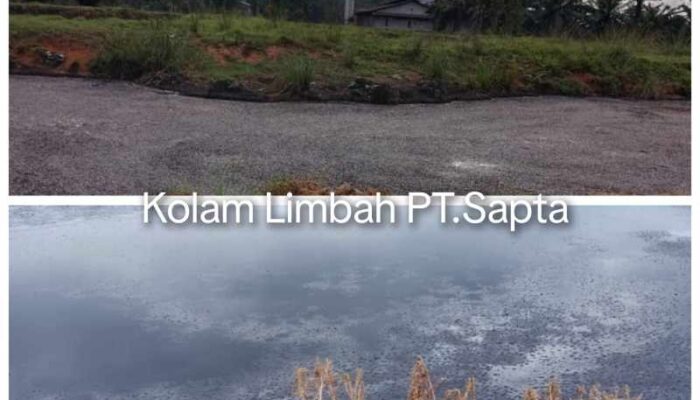 AJPLH Cabut Gugatan Terhadap PT Sapta Bukan Karena Tak Terbukti, Soni: Kami Perbaiki Formasi Pihak dan Spesifikasi Kerugian