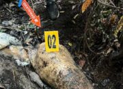 Polisi Periksa 40 Saksi Terkait Gajah Mati Tanpa Kepala, Termasuk Pegawai Perusahaan