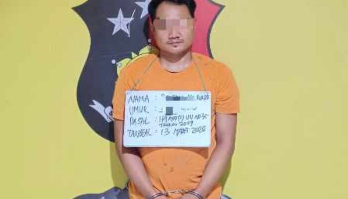 Polsek Panai Hilir Ringkus Pengedar Sabu di Perkebunan Sawit, Barang Bukti 7 Gram Diamankan