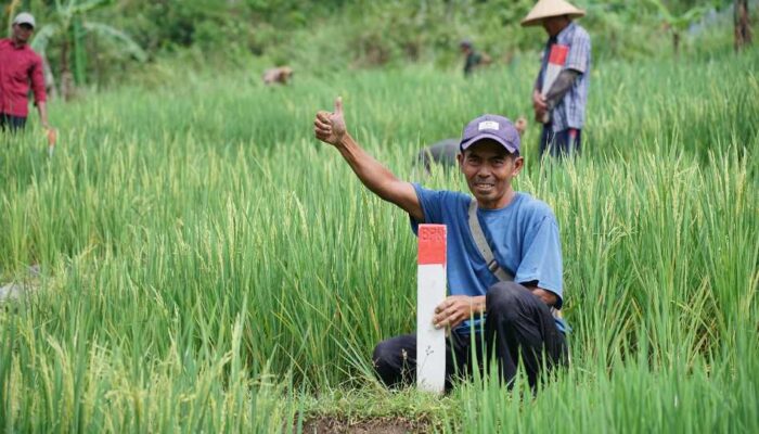 Mudik ke Kampung Halaman? Jaga Batas Tanah sebagai Langkah Awal Cegah Konflik Antartetangga