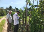 Panitia A Turun Langsung ke Lapangan, Pastikan Kepastian Hukum Tanah Masyarakat Agam