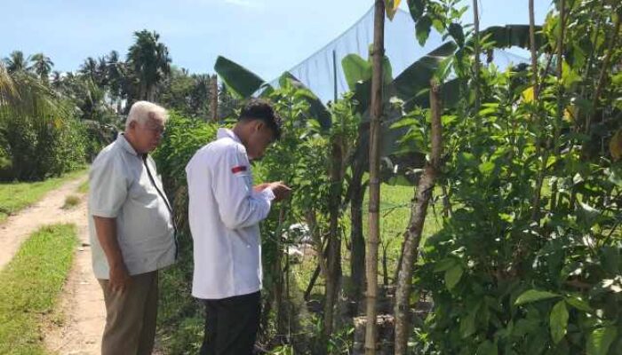 Panitia A Turun Langsung ke Lapangan, Pastikan Kepastian Hukum Tanah Masyarakat Agam