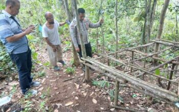 Polsek Bilah Hulu Grebek Sarang Narkoba di Dusun Siborangan