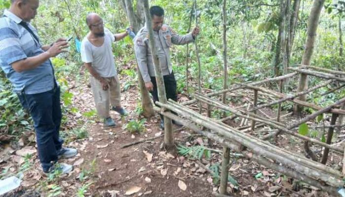 Polsek Bilah Hulu Grebek Sarang Narkoba di Dusun Siborangan